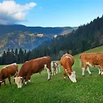 Tourist Farm Kladje Alloggio per agriturismo Ljubno