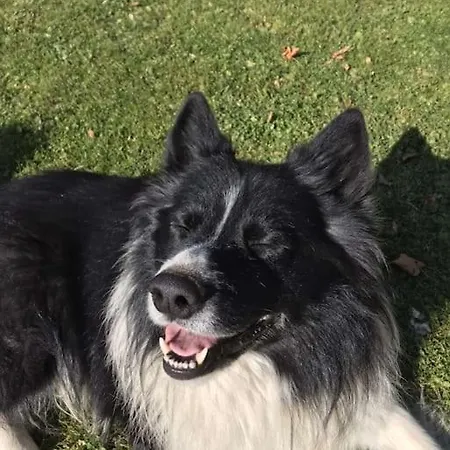 Farmház Tourist Farm Kladje *