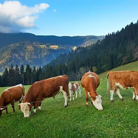 Tourist Farm Kladje בית חווה Ljubno