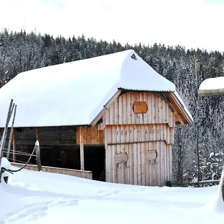 Farm stay Tourist Farm Kladje Ljubno