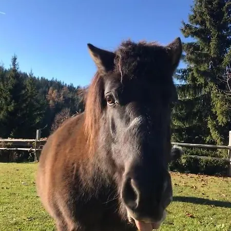 ファームステイ Tourist Farm Kladje Ljubno