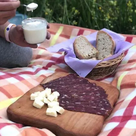 Tourist Farm Kladje Ljubno
