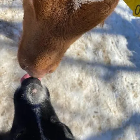 Tourist Farm Kladje *