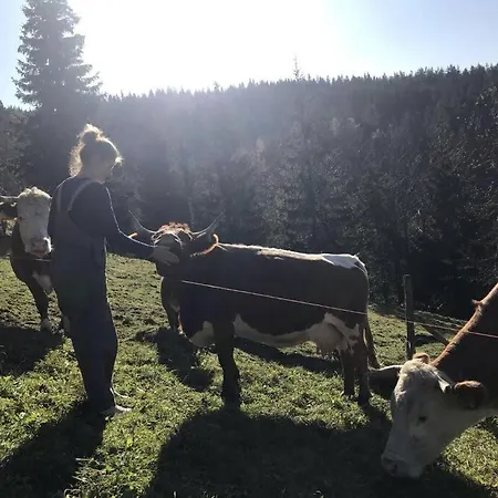 Tourist Farm Kladje * Ljubno
