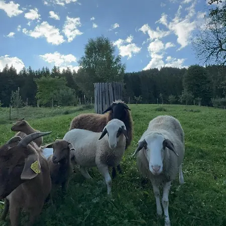 Tourist Farm Kladje *