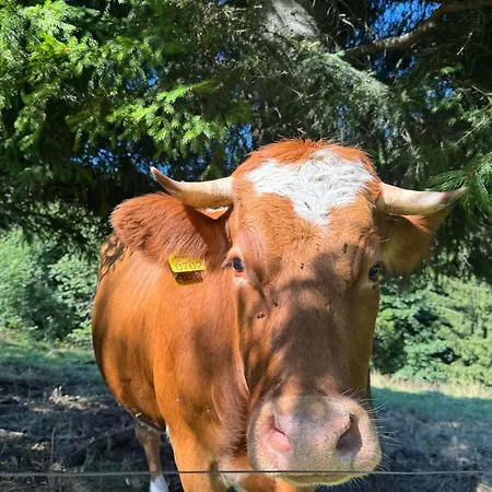 Farm stay Tourist Farm Kladje