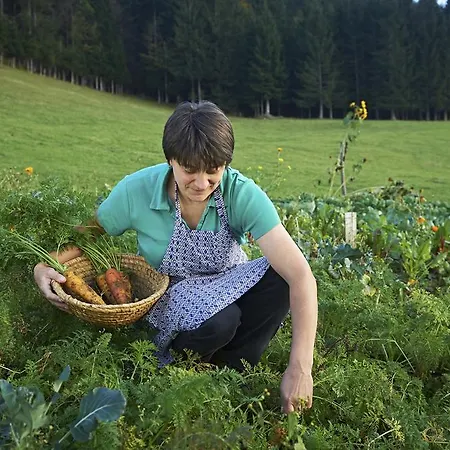 Farmház Tourist Farm Kladje *