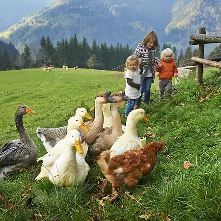 Farm stay Tourist Farm Kladje *