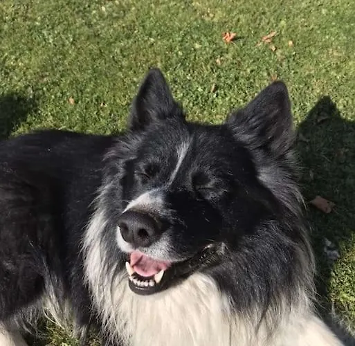 Alloggio per agriturismo Tourist Farm Kladje *