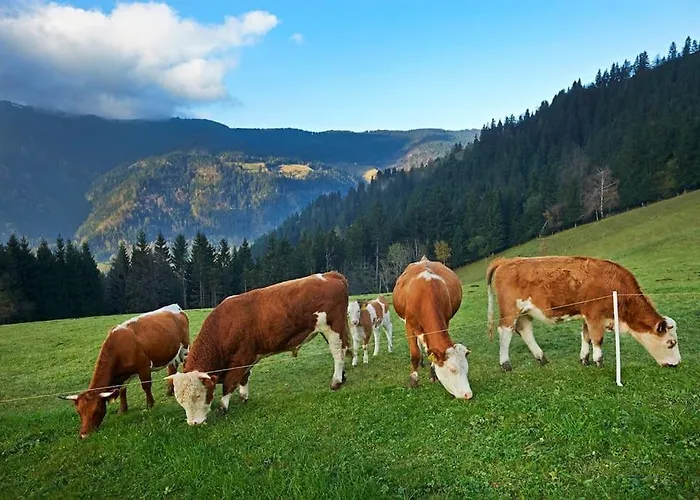 Tourist Farm Kladje Alloggio per agriturismo Ljubno