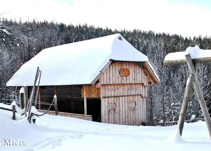 Alloggio per agriturismo Tourist Farm Kladje Ljubno