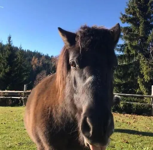Alloggio per agriturismo Tourist Farm Kladje Ljubno