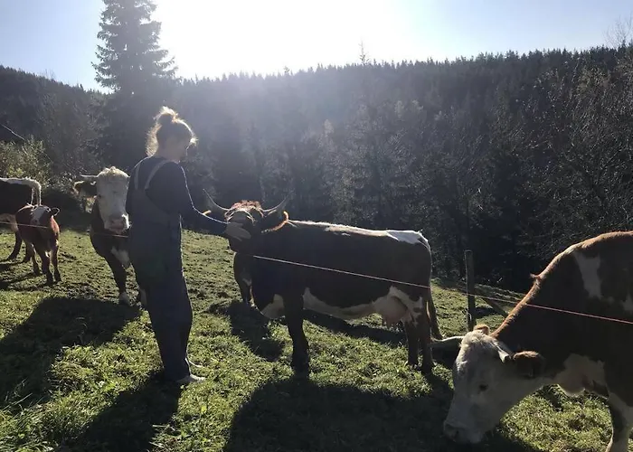 Tourist Farm Kladje * Ljubno