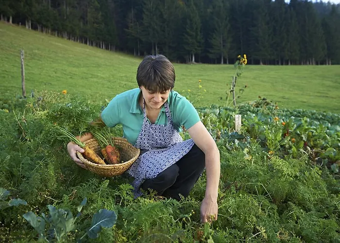 Alloggio per agriturismo Tourist Farm Kladje *