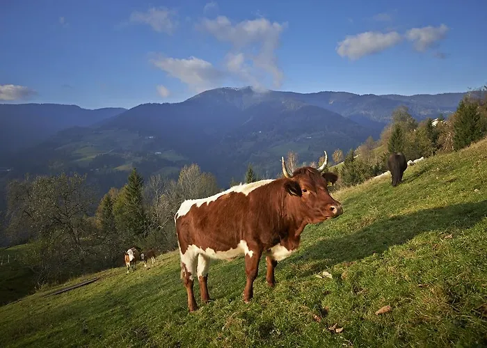 Tourist Farm Kladje Alloggio per agriturismo