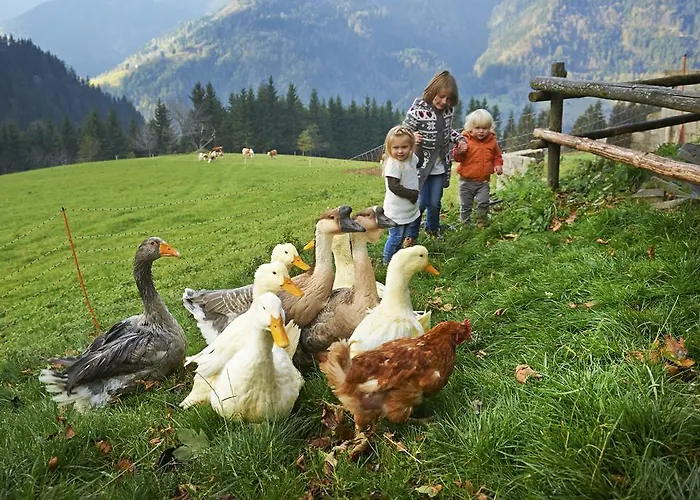 Alloggio per agriturismo Tourist Farm Kladje *